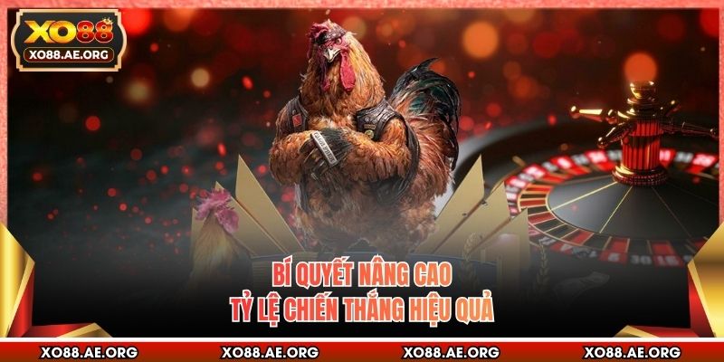 Bí quyết nâng cao tỷ lệ chiến thắng hiệu quả
