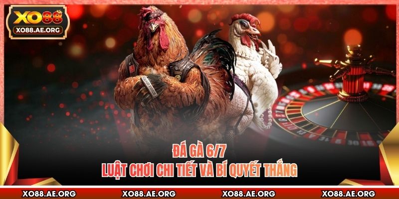 Đá Gà 6/7 - Luật Chơi Chi Tiết Và Bí Quyết Thắng