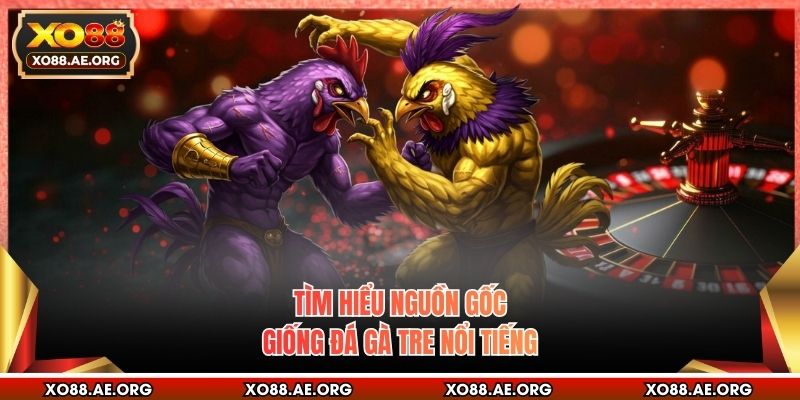 Tìm hiểu nguồn gốc giống đá gà tre nổi tiếng